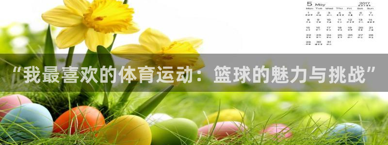 米兰体育官网下载平台注册要钱吗：“我最喜欢的体育运动