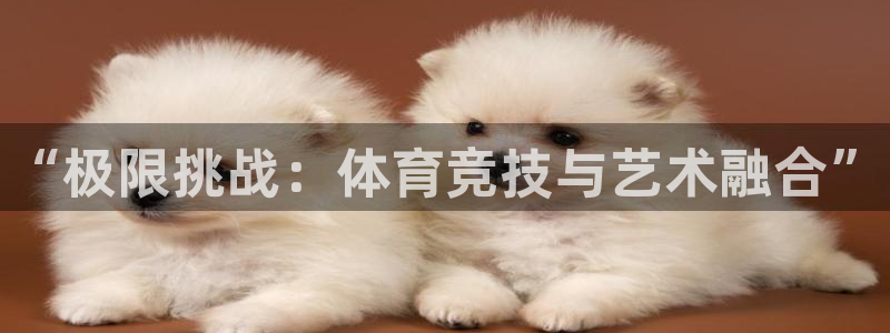 德国米兰体育官方正版app集团：“极限挑战：体育竞技