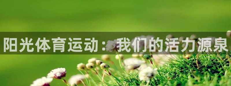 米兰体育官方正版app娱乐40996