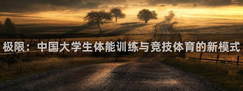 米兰体育官方正版app集团E.ON：极限：中国大学生