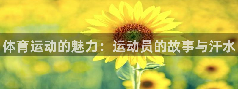 米兰体育官网下载招商电话号码是多少：体育运动的魅力：运动员的