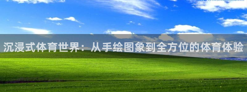米兰体育官网下载官方客服电话：沉浸式体育世界：从手绘图象到全