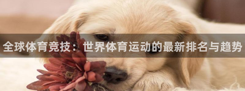 米兰体育官网下载招商电话地址查询：全球体育竞技：世界体育运动