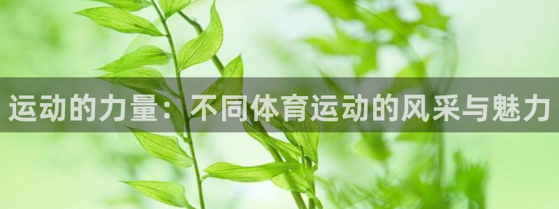 米兰体育官网下载娱乐：运动的力量：不同体育运动的风采