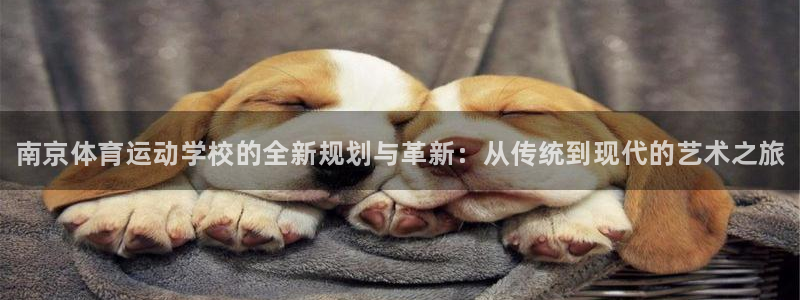 德国米兰体育官方正版app集团：南京体育运动学校的全