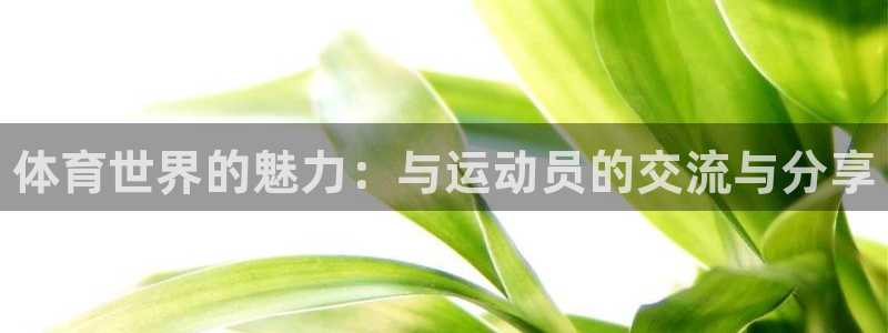 米兰体育官方正版app娱乐下载