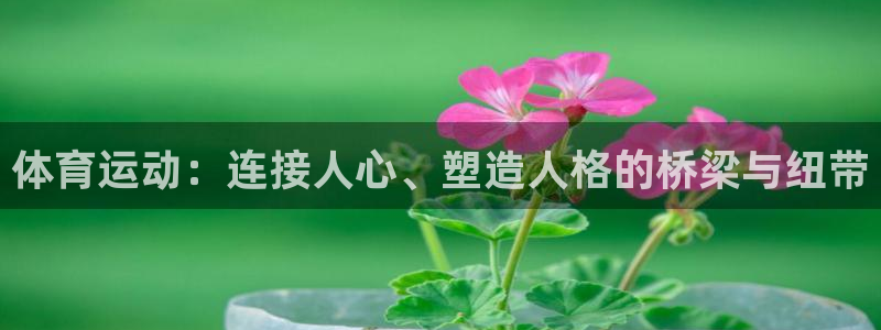 米兰体育官方正版app集团E.ON