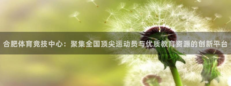 米兰体育官网下载招商电话号码查询：合肥体育竞技中心：聚集全国