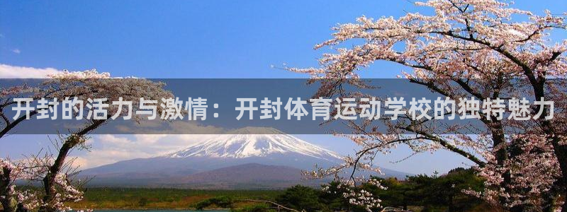米兰体育官方正版app代理：开封的活力与激情：开封体育运动学