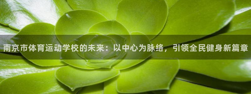 米兰体育官网下载是干嘛的公司：南京市体育运动学校的未