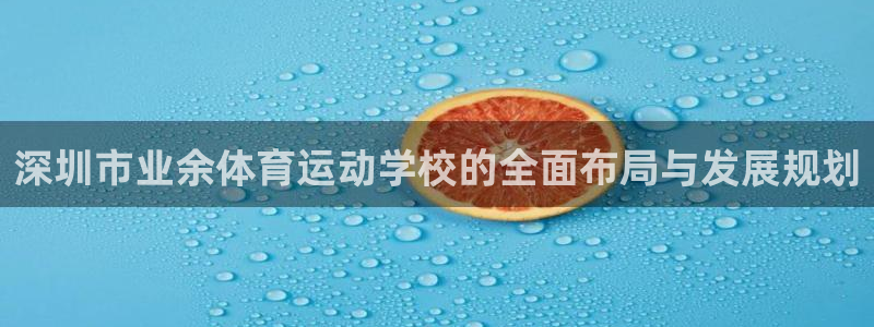 米兰体育官方正版app集团简介：深圳市业余体育运动学校的全面